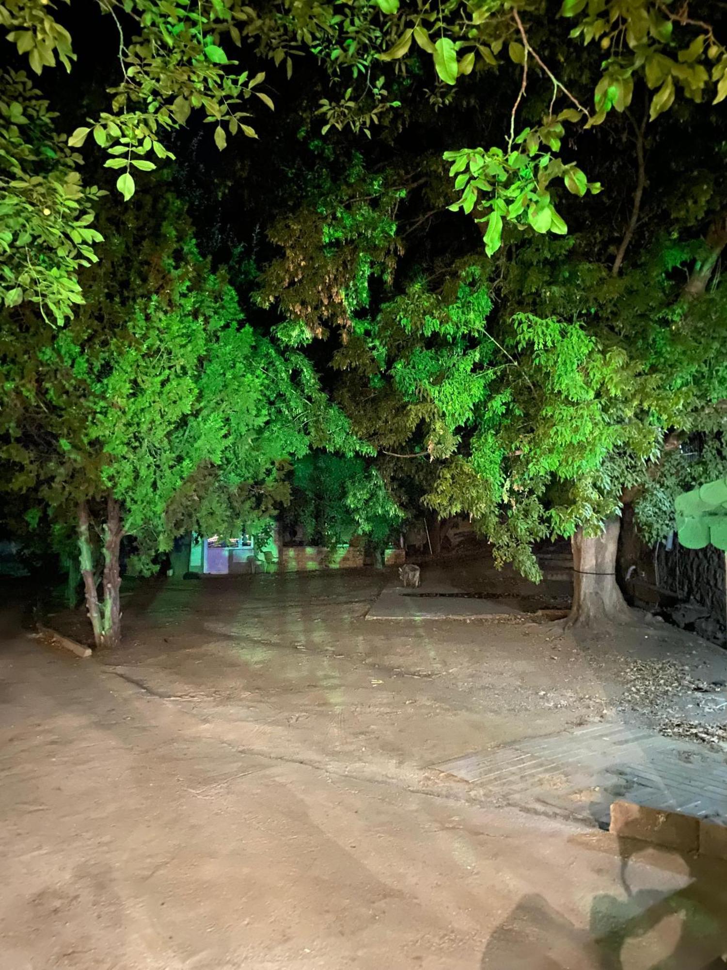 Erdem Ciftligi/ Ephesus Arena Apartment Selçuk Bagian luar foto